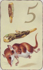 gnm_26_wands_05