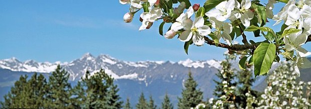 01_spring-690 01_spring-690