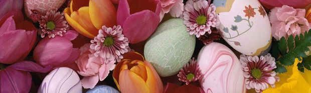 ostara_01_690 ostara_01_690