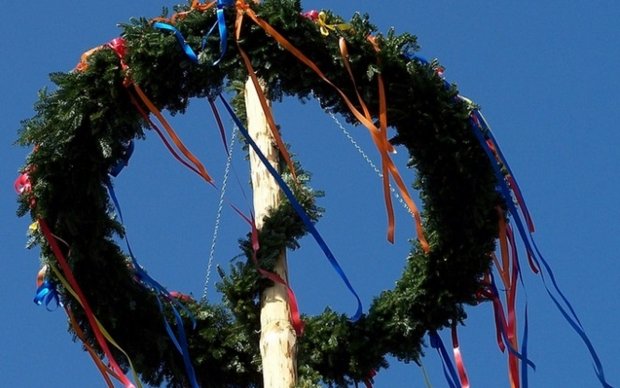 maibaum maibaum