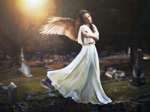 photography-by-shelby-robinson © photography-by-shelby-robinson