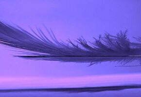 Аркан года VIII Справедливость. Весы Маат / Balance of Maat