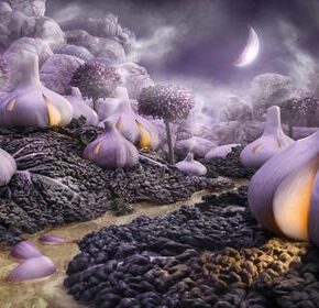 Колесо Года. Samhain