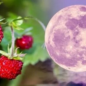 Жребий Клубничной луны. Июнь 2023. ПРОМО