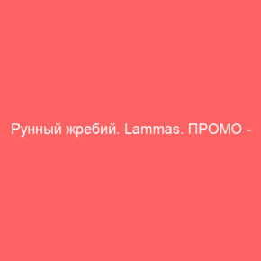 Рунный жребий. Lammas. ПРОМО - Tarot Art